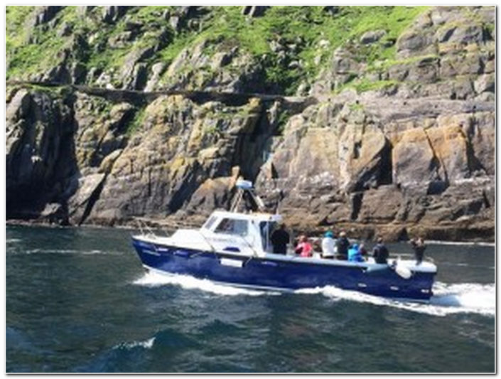 sundance kid touring skellig michael