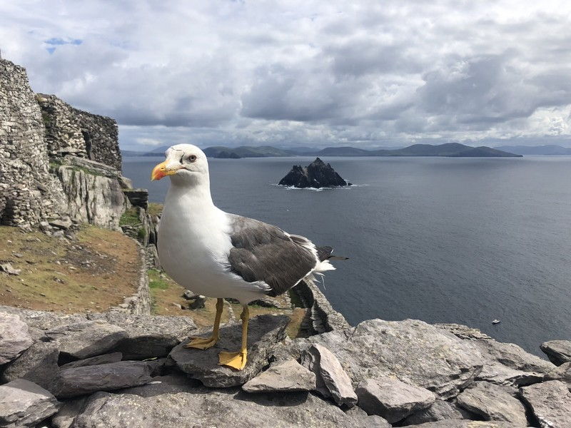 SKellig Michael Landing